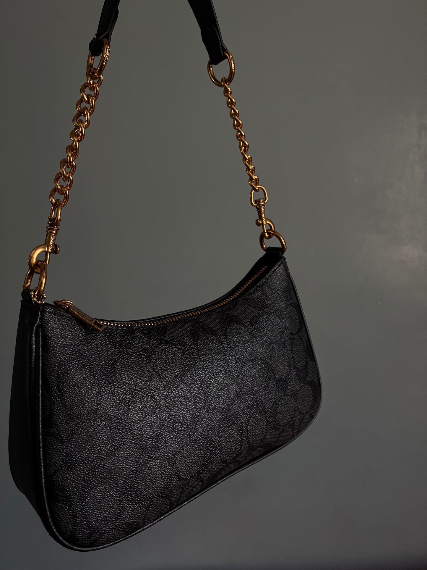 Black Teri